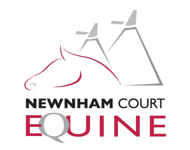 Maidstone Business Success Story Newnham Court Equine Clinic
